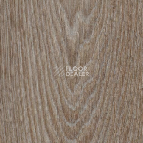 Кварцвиниловые полы Forbo Allura Click Pro 63410CL5 hazelnut timber фото 1 | FLOORDEALER